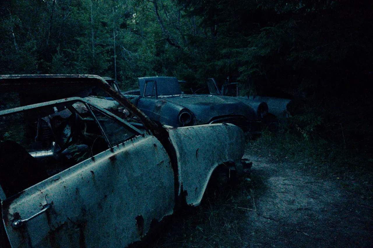 Rusting vintage cars abandoned in a dark forest
